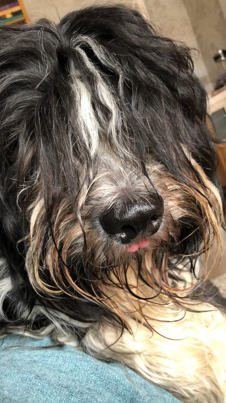 74DC9F40-605D-4782-B4D1-3B094F8C401C