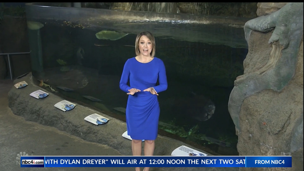 11.07 - 15.00.00 - Earth Odyssey With Dylan Dreyer. The world's smart....ts_snapshot_00.25.05.814