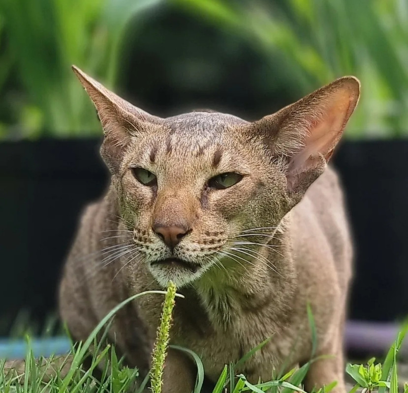 Screenshot_20220719-165403_Gallery