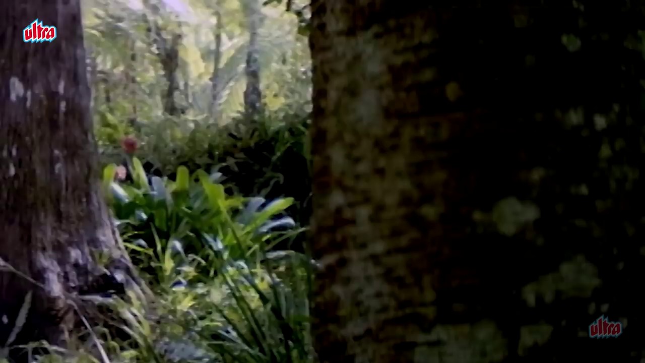 Drohi-1992-Hindi-720p-x264-AVC-AAC-2-0-mkv-0002