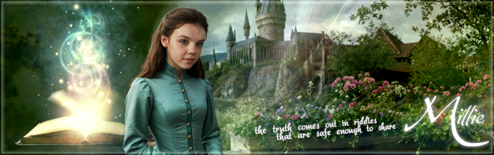 [Image: uHwnE8q.png]