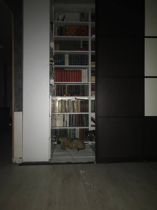 118BB099-B2F7-4871-BCF1-6CBC0D1C43A3