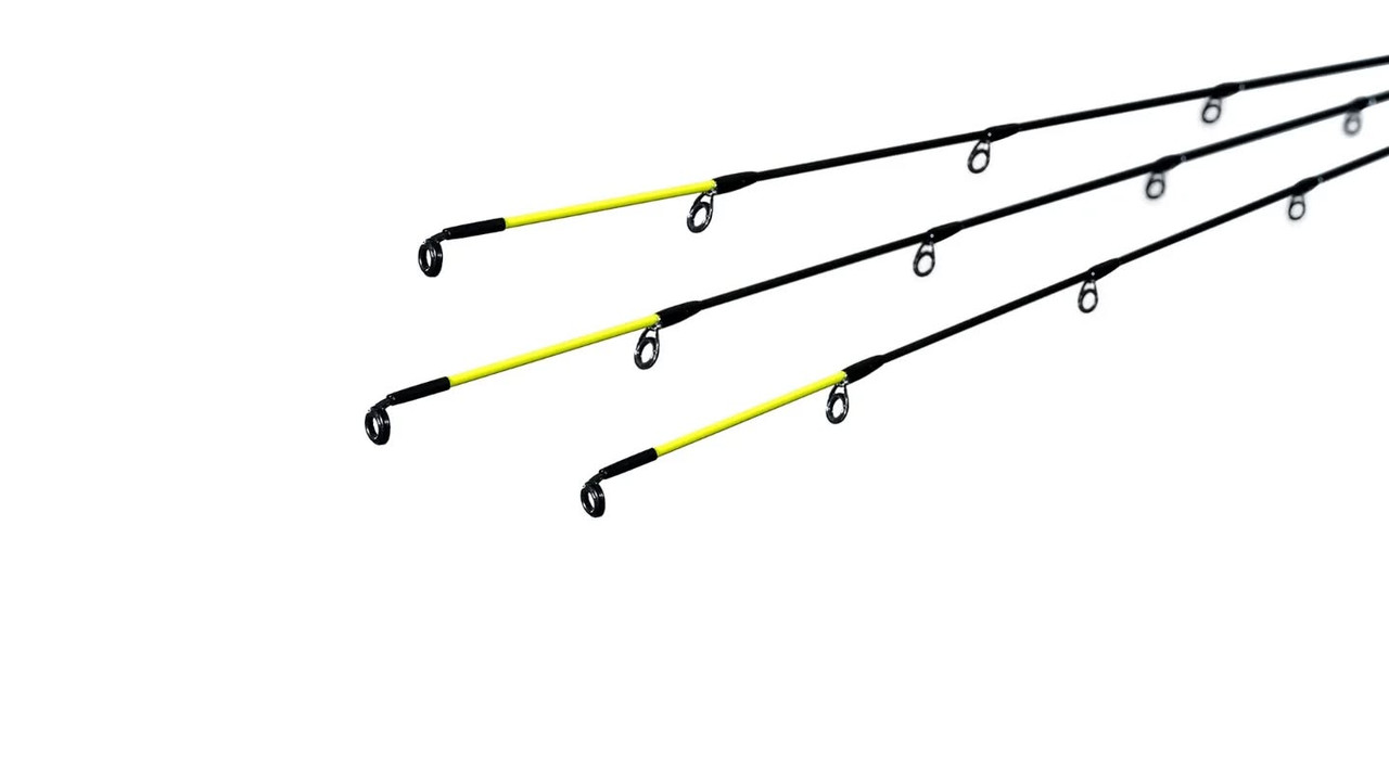 566232116 18021418805779545 5530568134180400534 n
