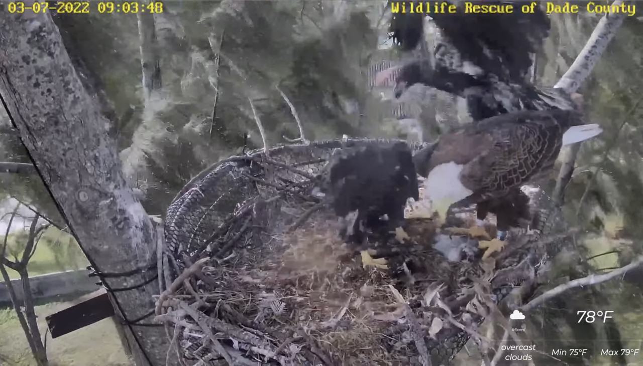 021A3550-39EE-4645-B36F-64BC145AE1F2