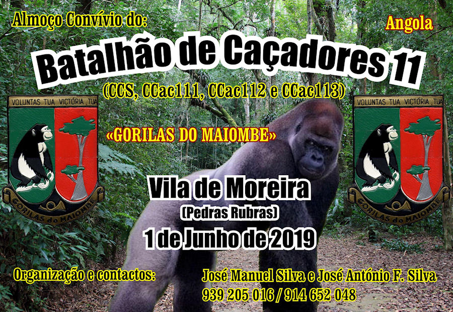 BCac11-01-Jun2019-900