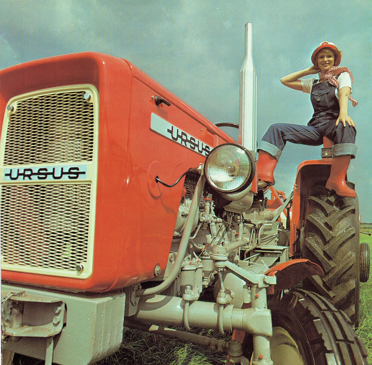 285123347 546048810429236 9185430446478328190 n