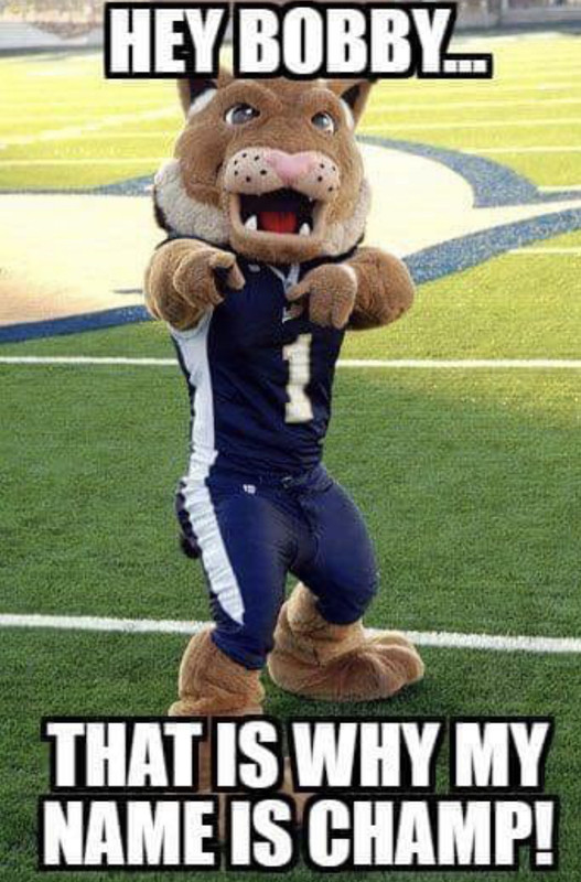 B60AC28B-F26B-4D08-99C6-3DFA4CAC9607