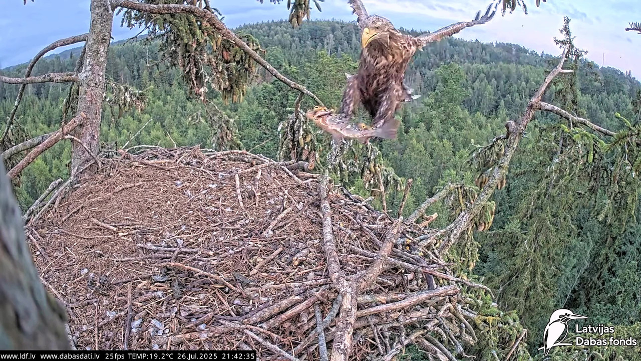 vlcsnap-2025-07-27-04h50m00s432