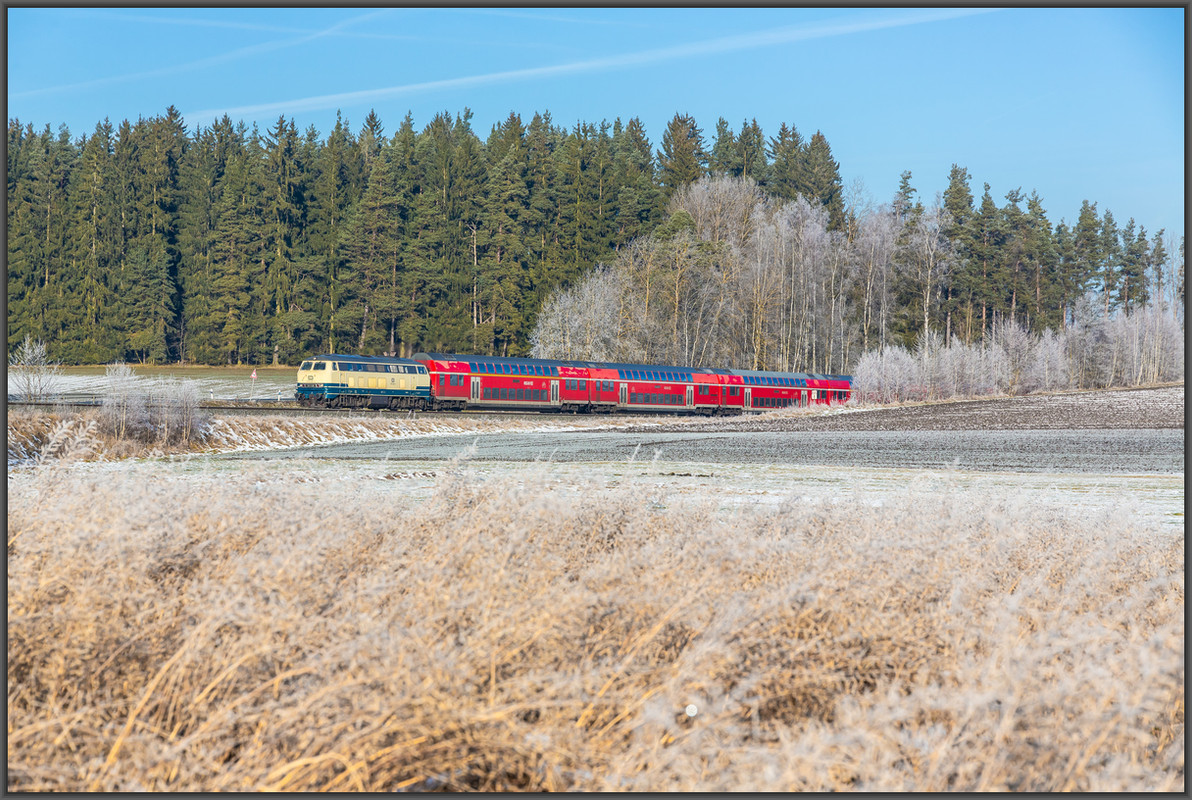 20241229-_M7A4274