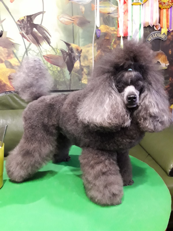 IMG-d8f1d6bc4738284e71a1e7f5c9c6d269-V