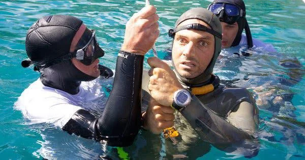 the-last-photo-taken-of-freediver-nicholas-mevoli-with-a-v0-mvfvipkjncf81.webp