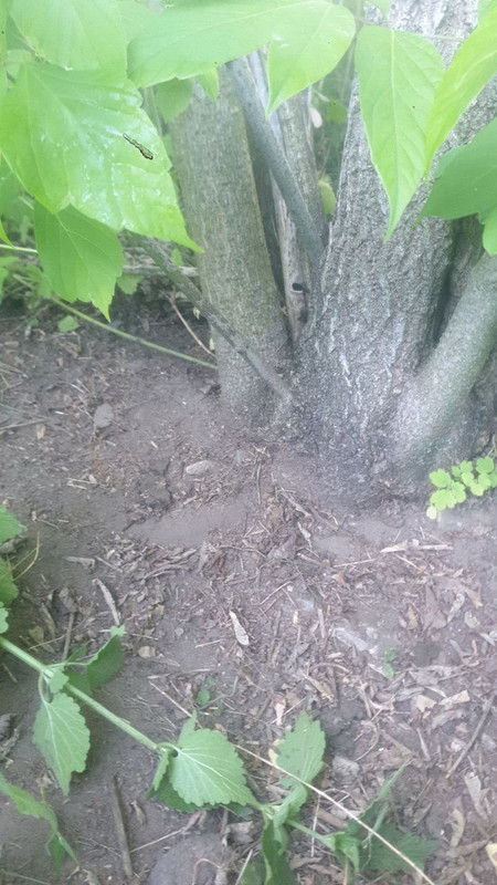photo 2026 05 30 04 59 16