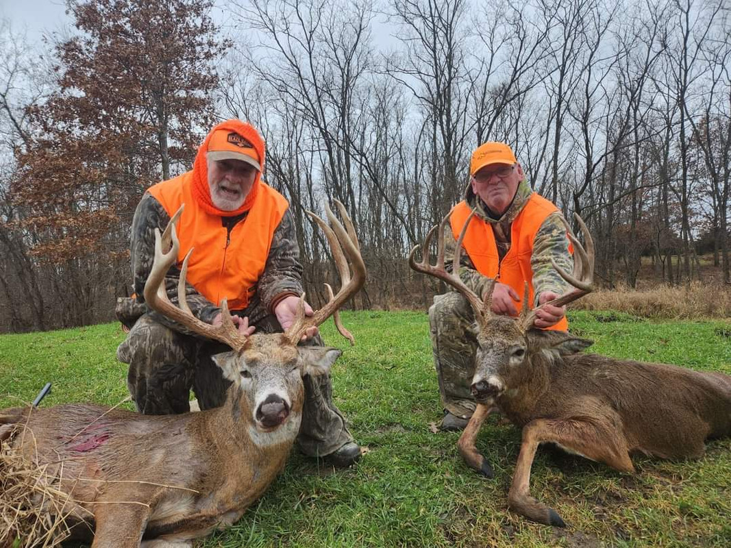 Iowa Deer II