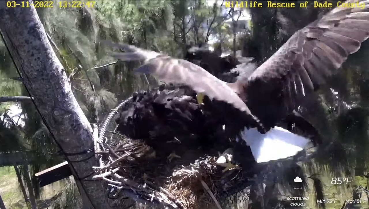 2A74EEAB-7B6B-488F-95E7-664DD92106A5