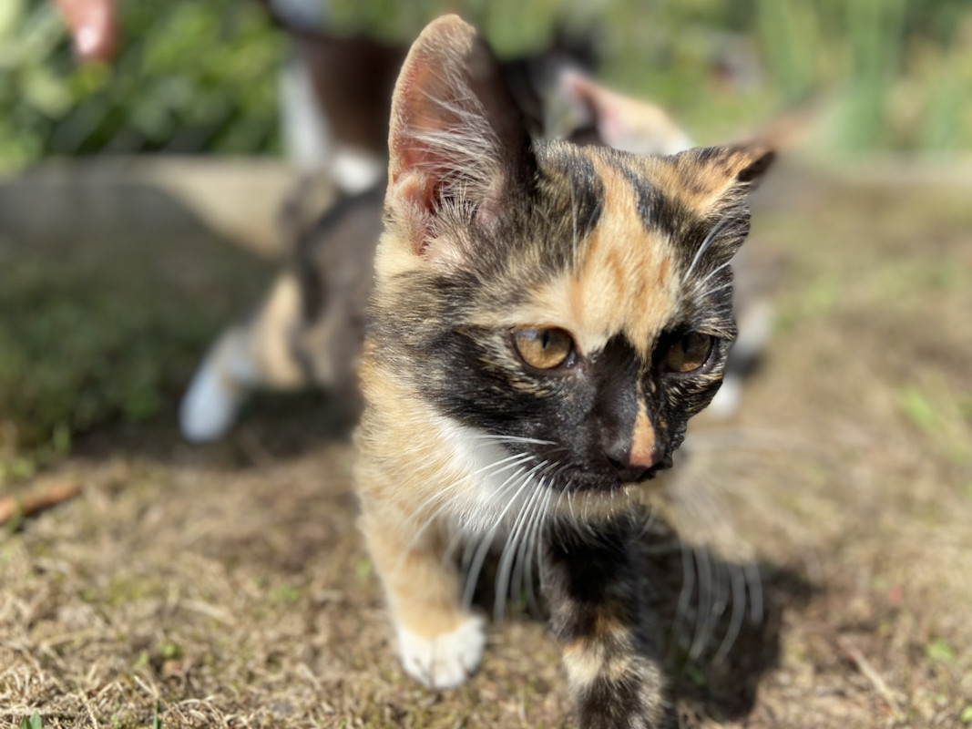 8C96E216-97C6-4FA8-A66F-50B9B04EA867