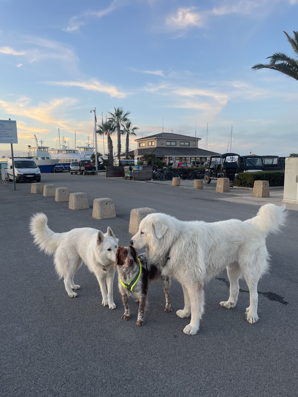 734DB940-864D-4B08-8427-CD1D25DBA545