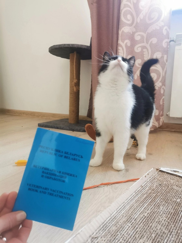 Барбариса121