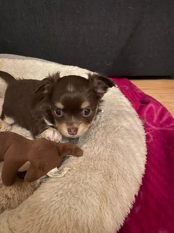 CB60C2E5-546C-4676-9B88-7A867729CA38