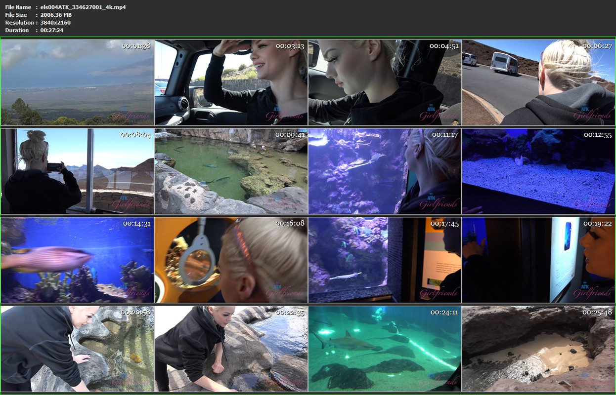 27082024162059screenshot