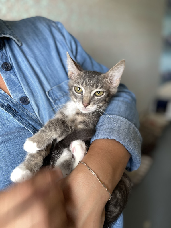 38A44EC0-E8A4-4094-ABAB-C91600883549