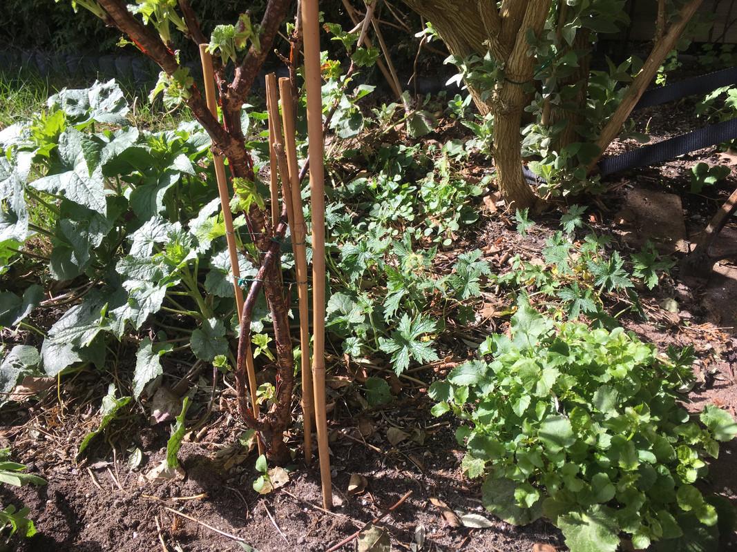 F5E48407-9413-451F-AB73-7E07A9185775