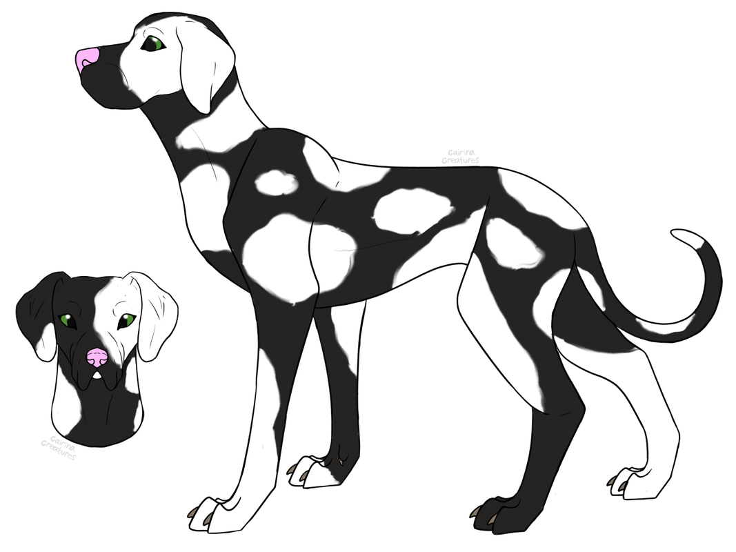 2025-02-11-0xr-Kleki.png