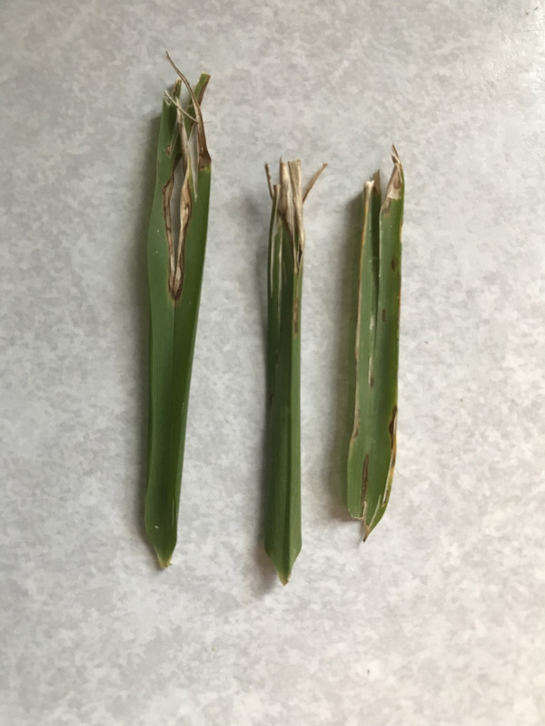 33EF9F0A-2B67-4545-8660-4F9BF9D0A22F