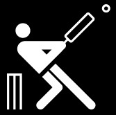 Cricket España / Mundial 8-11-2023-20-11-56-48