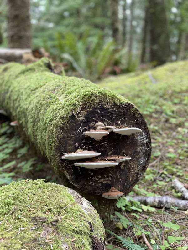 D4B1962C-06F5-4A3E-985C-5118EB178A76