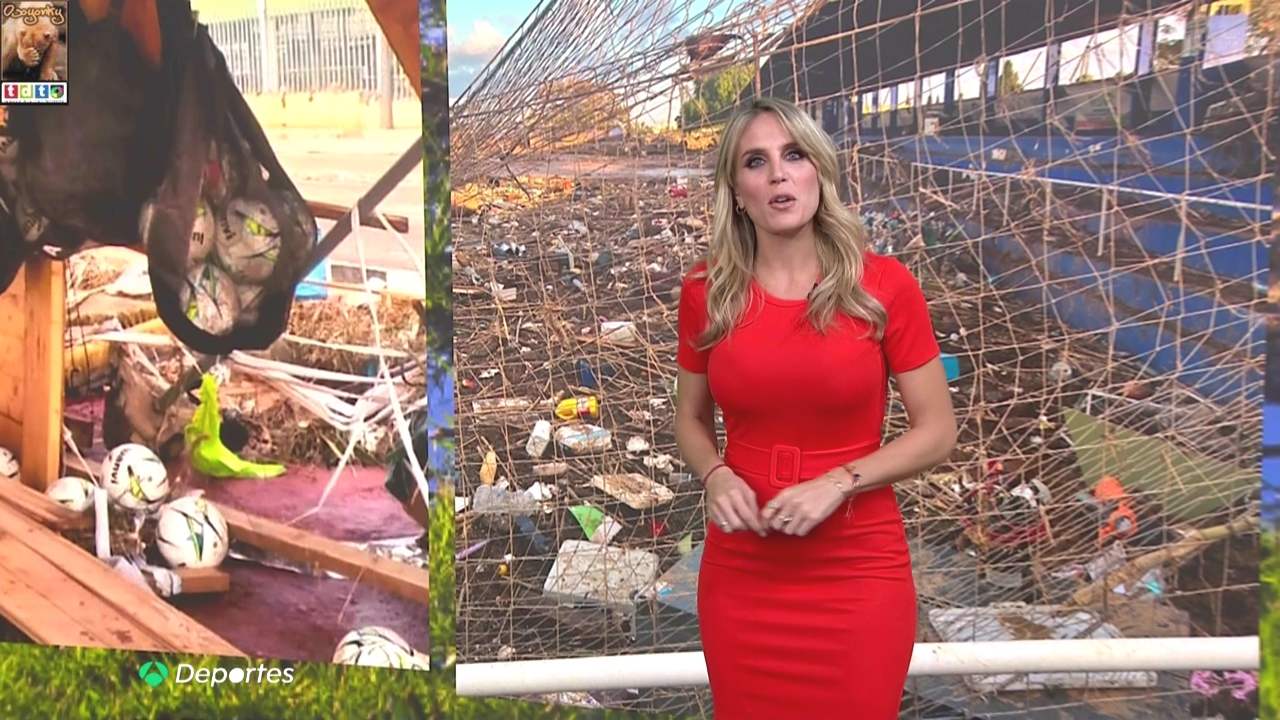 angitetorrasvarios8_oso3wwwwwwwwwwww