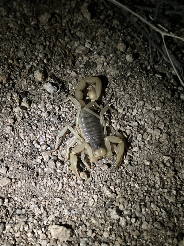 F93F7949-1531-4B29-87BF-49DA15515287