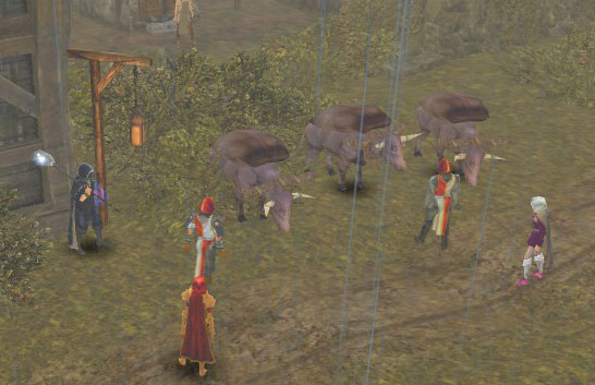 caravana-001.jpg
