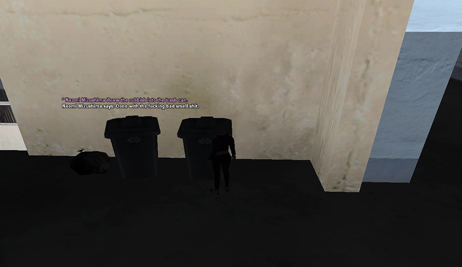 ssrp13.png