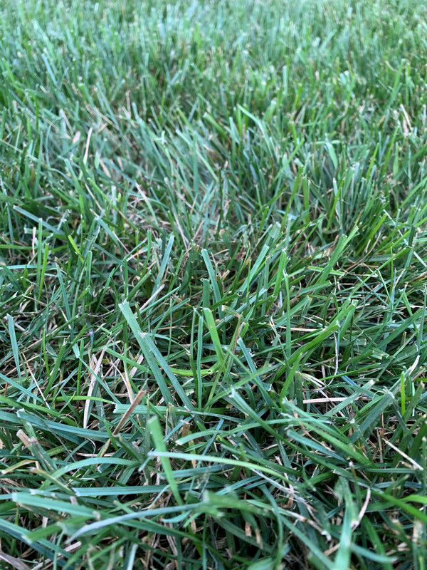 20200801_215712132_iOS (2)