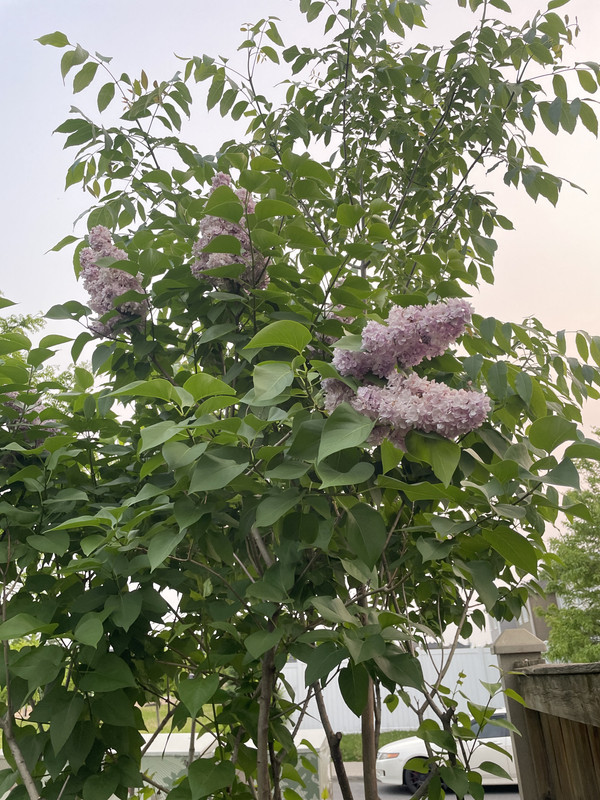 F0837F35-7037-409C-8238-7A371B1D4B84