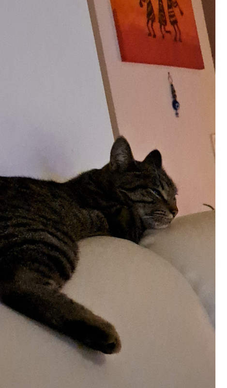 Screenshot_20230114-185556_Email