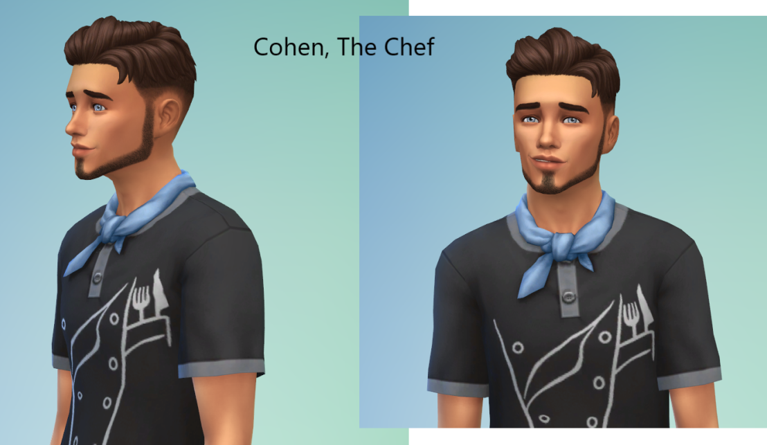 The-Chef.png
