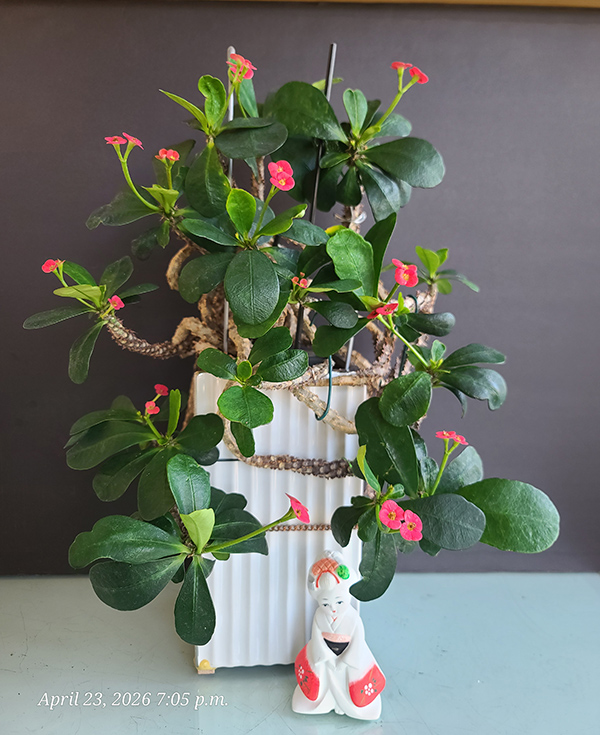 [Image: 20260423-190553.jpg]