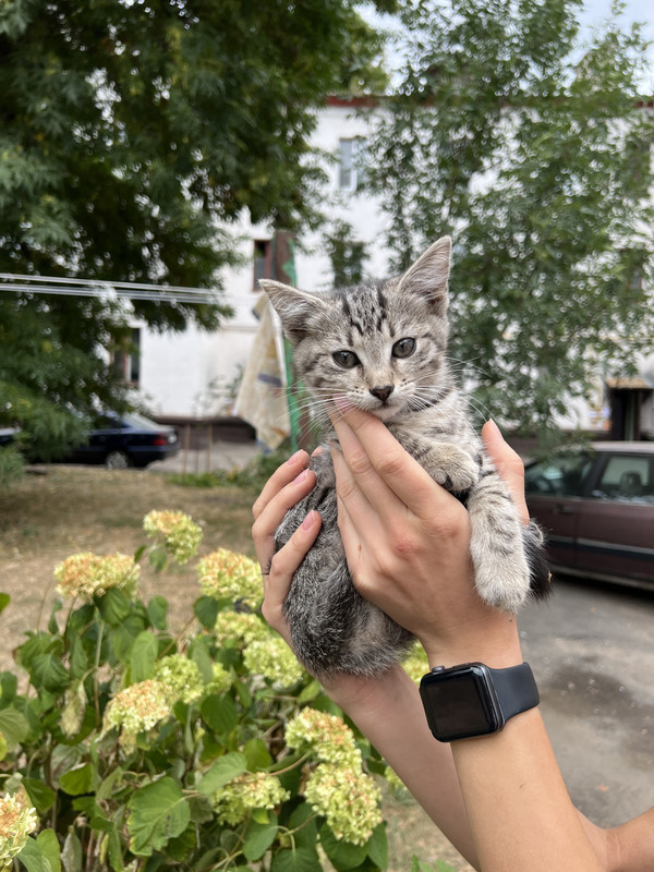 DE3764FB-F772-43CD-832D-F21CC8DA8337