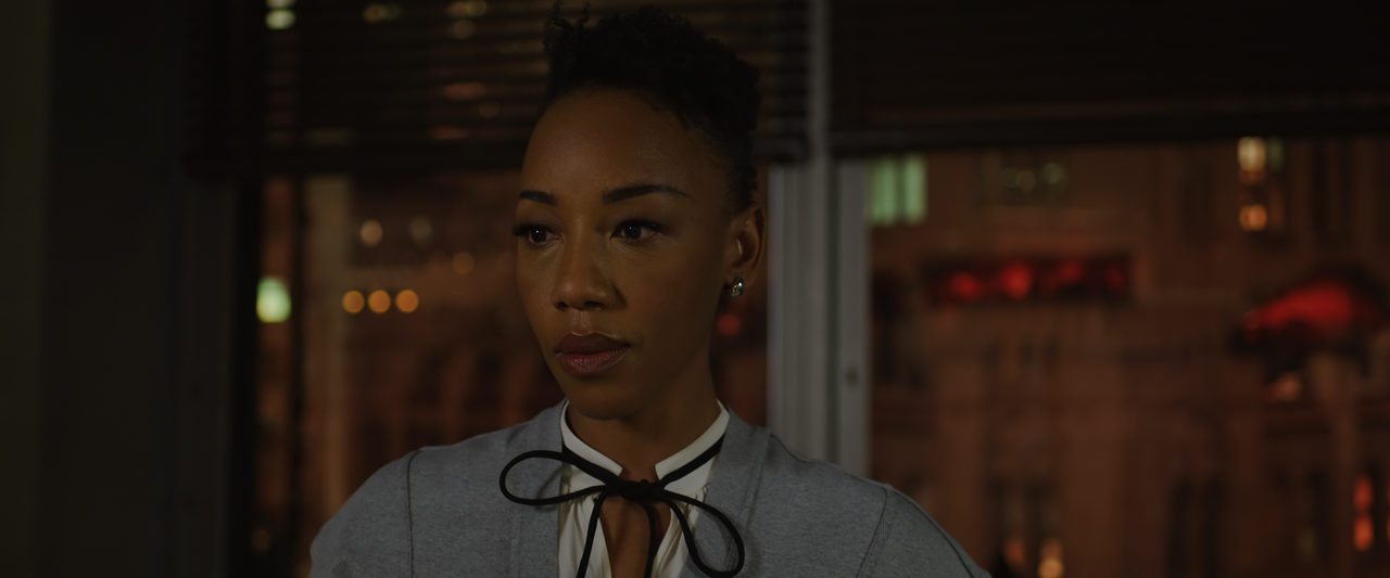 The.Good.Fight.S06E01.The.Beginning.of.the.End.2160p.10bit.PMTP.WEB-DL.DDP5.1.HEVC-Vyndros.mkv_snaps