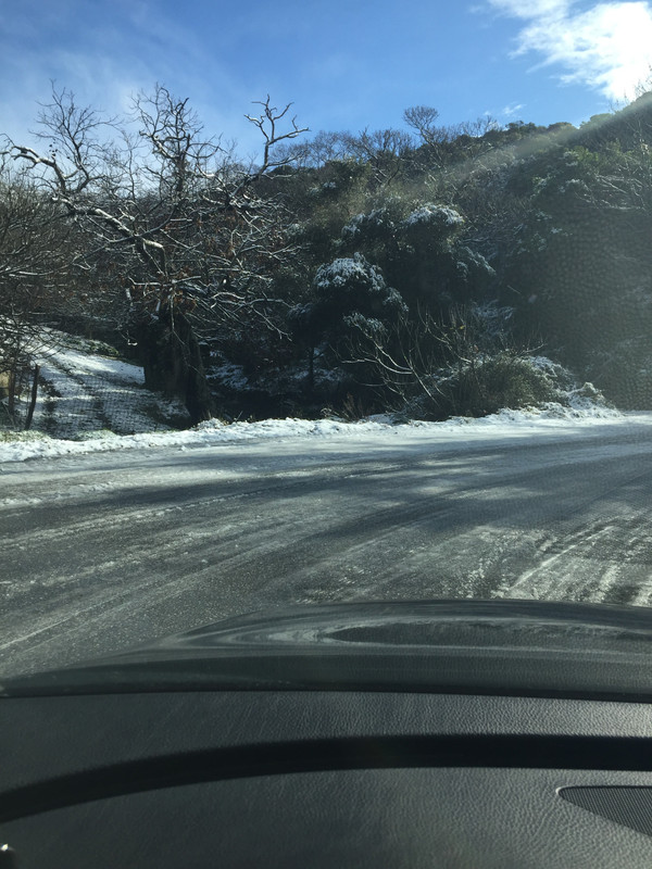 8EE37BEE-A368-46BA-AF12-1E1F7EF8166B