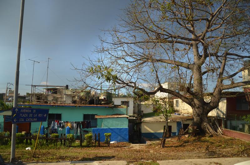 LA HABANA-16-9-2017 - CUBA Y SUS PUEBLOS-1997/2017 (204)