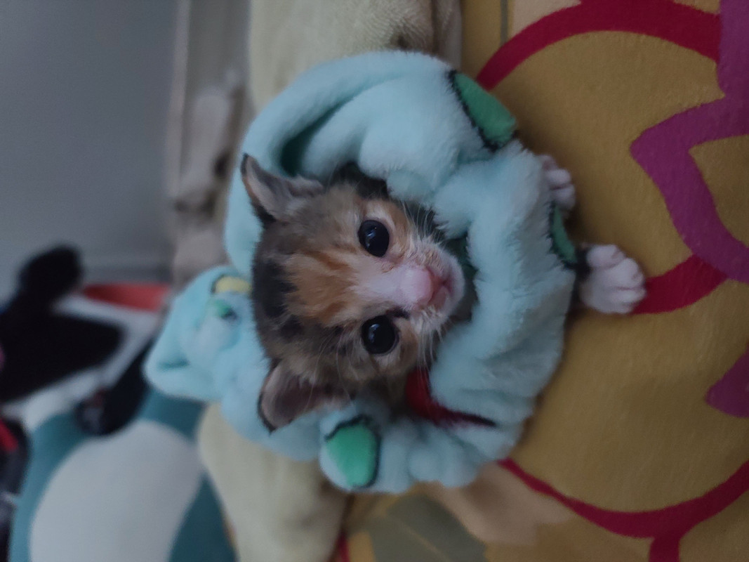 KakaoTalk_20230806_174426711_05