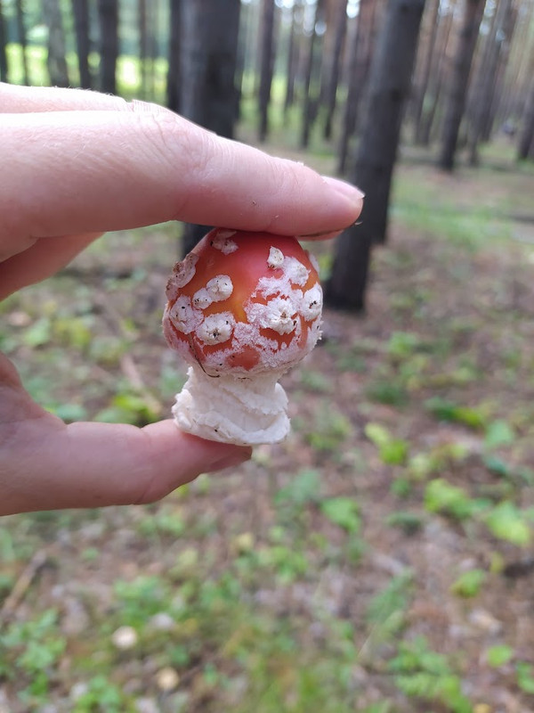 IMG_20230820_105227 (1)