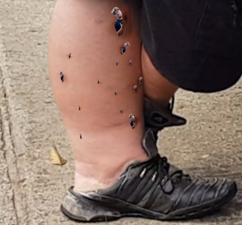 1drachenfuss.jpg