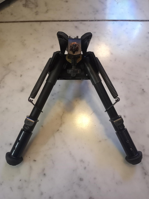 MicrosoftTeams-image (10)