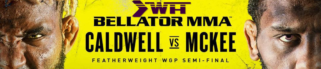 Bellator 253 Full Event 720p WEBRip x264-WH