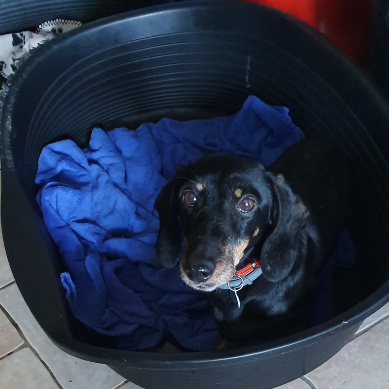 [Image: 20221127-153342.jpg]