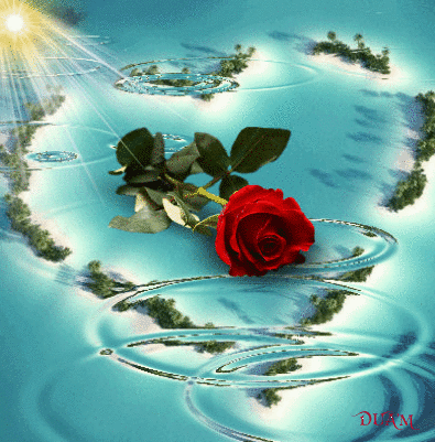 Animated-gif-in-gifs-collection-by-Andrea-Hegyi-Egri