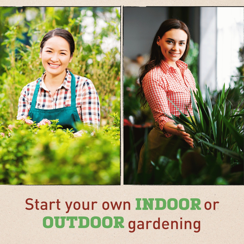 Verbena Obsession Cascade Purple Shades w Eye 3